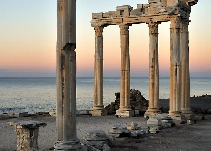 Su - Adult Only Side